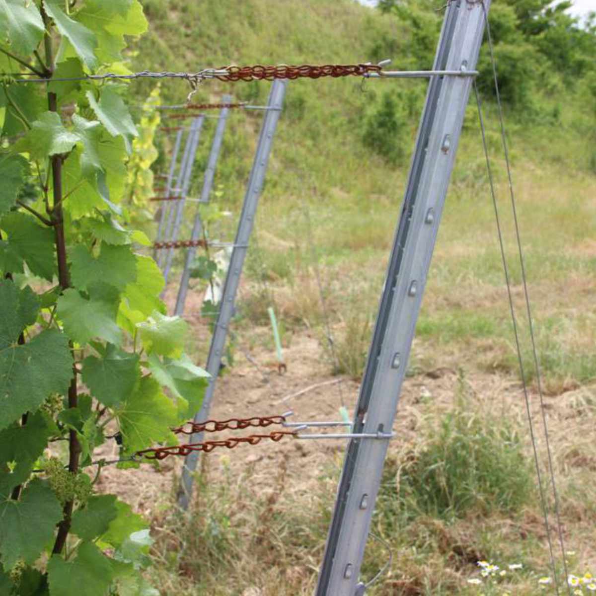 Słupek przelotowy do winnicy - DEVIN- wys. 2,5 m (tylko odbiór osobisty) Słupek przelotowy do winnicy - DEVIN- wys. 2,5 m (tylko odbiór osobisty)